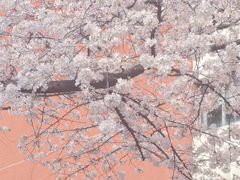 -浙江省杭州高级中学(贡院校区)