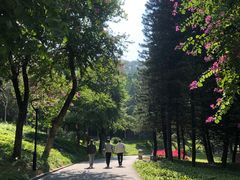 -广州雕塑公园