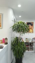 -水晶BABY儿童摄影(世界公园店)