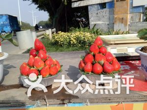 有青枣,圣女果