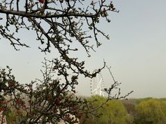 -石家庄市植物园