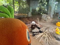 -海南热带野生动植物园