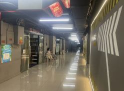 -欲非舞蹈