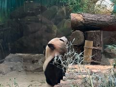 -杭州动物园