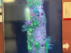 -北京大学百年讲堂