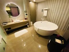 -南京禄口机场雅高铂尔曼大酒店