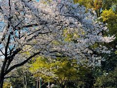 -中国茶叶博物馆(双峰馆区)
