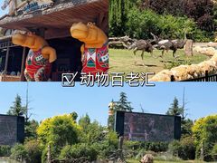 -郑州银基国际旅游度假区