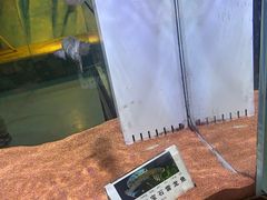 -邯郸海洋世界