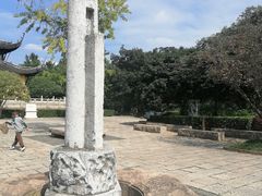 -红梅公园