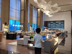 -深圳国际会展中心希尔顿酒店(前海华发冰雪世界店)