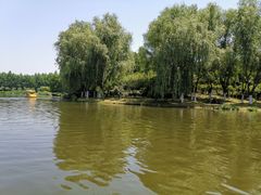 -滨湖塘西河公园