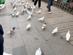 -杭州西湖东坡酒店