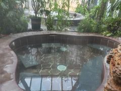-白桦林温泉谷