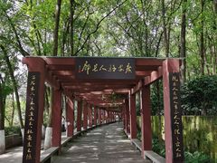 -翠屏公园