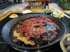 -肥龙火锅(南坪店)