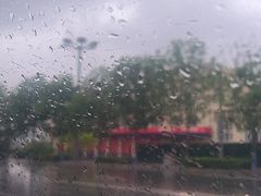 -八府香鸭·啫啫煲(华山路店)