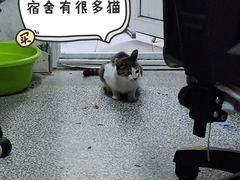 -苏州工学院(东南校区)