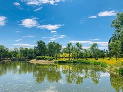 -东郊湿地公园