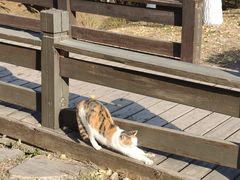 -幕燕滨江·长江观音景区