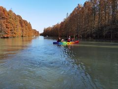 -上海海湾国家森林公园