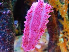 -沈阳海洋探索中心