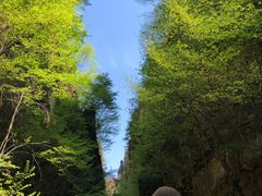 -野三坡百草畔景区