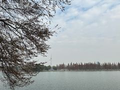 -食膳公园包子铺(烈士公园店)