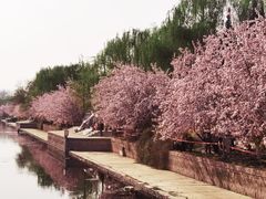 -元大都城垣遗址公园