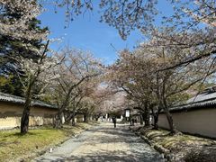 -醍醐寺