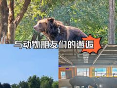 -北京野生动物园