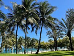 -海南清水湾莱佛士酒店