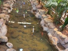 -庭苑饭香·生态餐厅(动物园店)