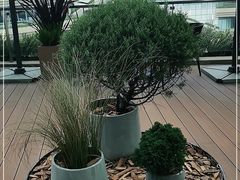 -La Terre乐田(万象城店)