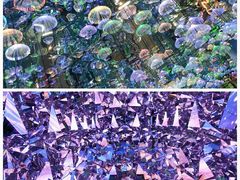 -天津梵高星空艺术馆(天河城旗舰店)