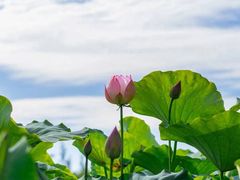 -糖潮糖水铺(省府店)