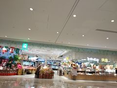 -重庆市江北嘴中央商务区中央公园