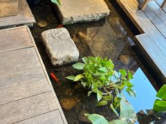 -邈墨茶馆(大兜路1号店)