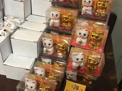 -猫咪博物馆(顶澳仔猫街店)