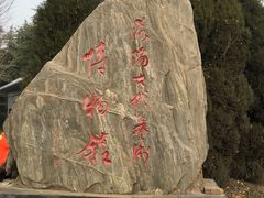 -洛阳古墓博物馆