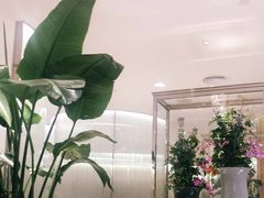 -香港百合居(LCM置汇旭辉广场店)