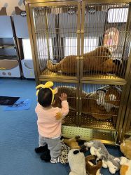 -奈尔宝家庭中心·亲子餐厅(鄞州万达店)