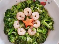 -好孕妈妈月嫂(哈尔滨总店)