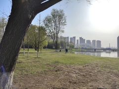 -长白岛森林公园