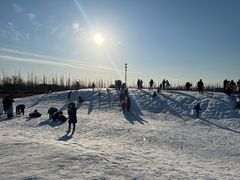 -绿野森林乐园冰雪季