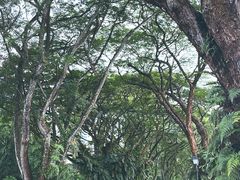 -新加坡总统府