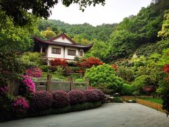 -十八棵（老龙井）御茶园(老龙井店)