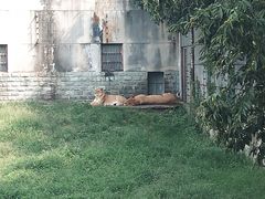 -西安秦岭野生动物园