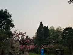 -钓鱼台国宾馆