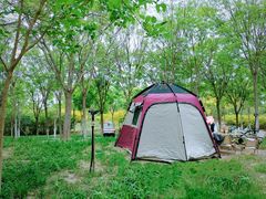 -天津东丽湖风景区